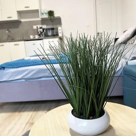Bereg Szive Apartmán *